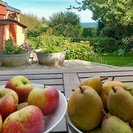 Amazing In With Wifi בית נופש גודהיים