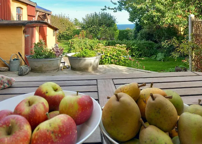 Amazing In With Wifi Semesterbostad Gudhjem